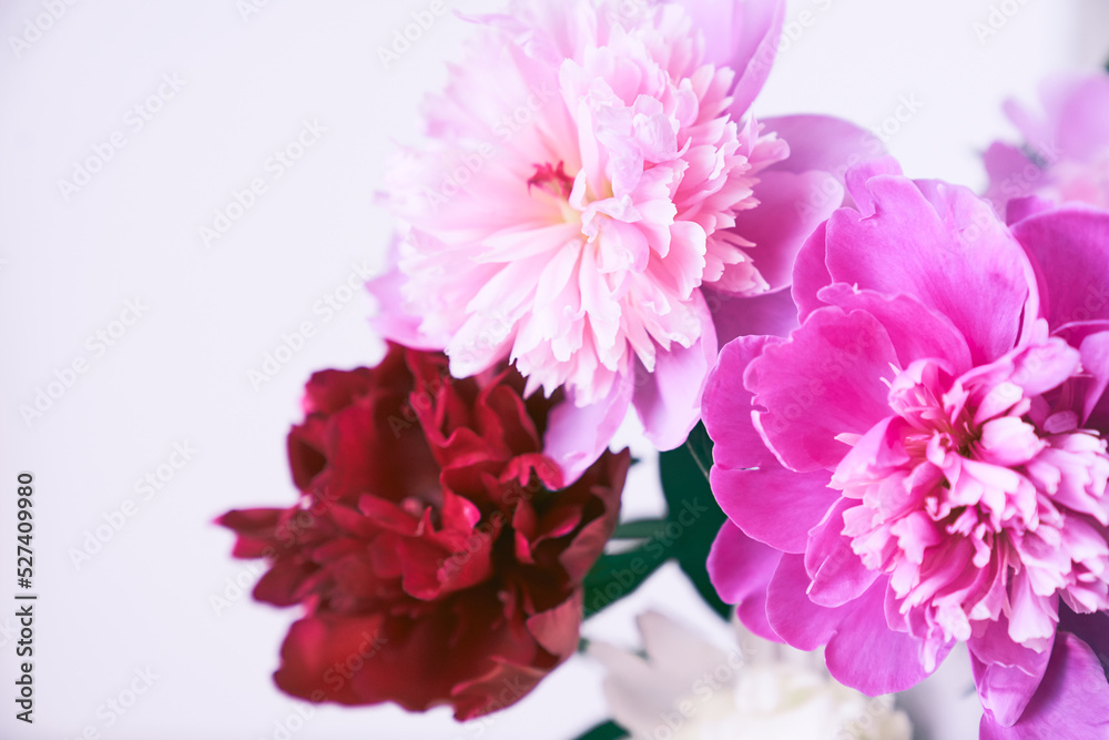 Part of a bouquet of beautiful flowers in close-up with the possibility of copying. A beautiful bouquet of bright pink and burgundy peonies. Wallpaper, greeting card, poster. High quality photo Part of a bouquet of beautiful flowers in close-up with the possibility of copying. A beautiful bouquet of bright pink and burgundy peonies. Wallpaper, greeting card, poster. High quality photo