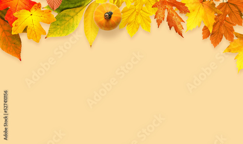Isolated autumn leaves on yellow background. Fall concept.