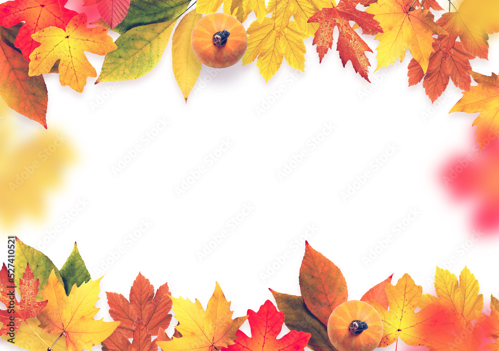 Isolated autumn leaves on white background. Fall concept. Isolated autumn leaves on white background. Fall concept.