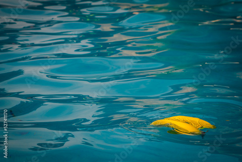 Εκτύπωση καμβά Yellow floater on a swimming pool water surface