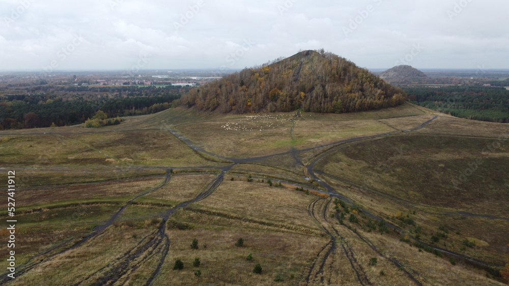 Aerial drone shot  of the national park hoge kempen in Limburg Belgium
