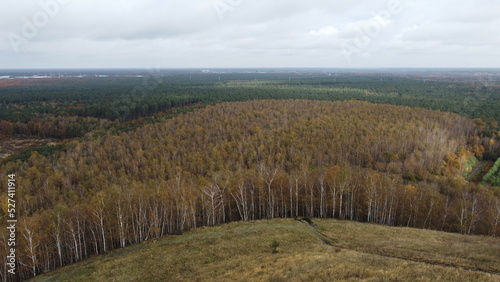 Aerial drone shot  of the national park hoge kempen in Limburg Belgium