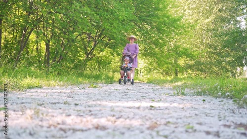 A mother with a 2-year-old baby in a baby carriage in the form of a tricycle walks through the spring park along a path covered with poplar down.
