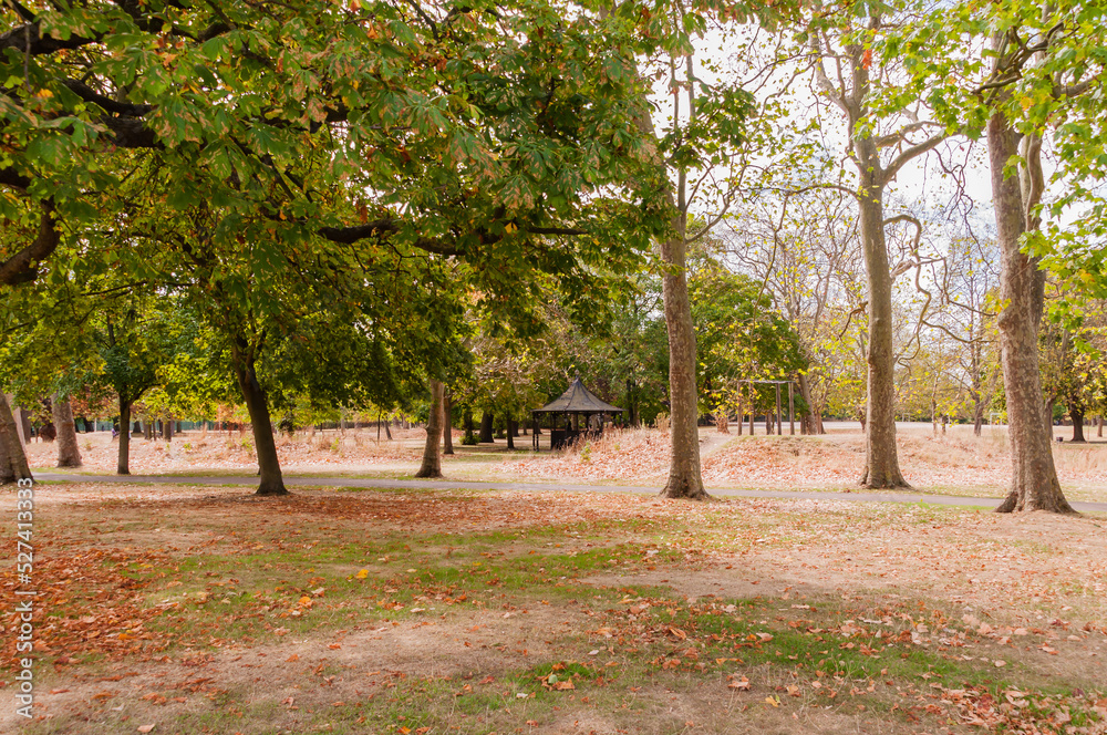 LONDON, ENGLAND - AUGUST 30, 2022: West Ham Park , London, Grass looking like straw due to the current summer heatwave
