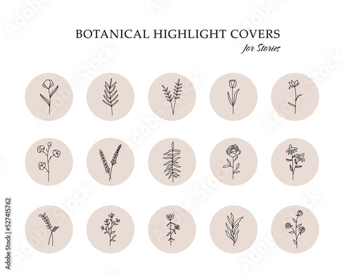 Floral botanical highlight covers. Minimal contemporary flower icons for social media story boho logo design. Vector set