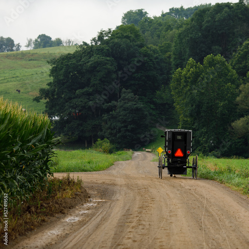 Amish horse and buggy at an intersection of two country roads beside a cornfield, with a forest in the distance | Amish country, Ohio