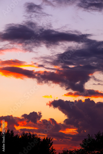 Gorgeous sunset and cloudscape over the treetops