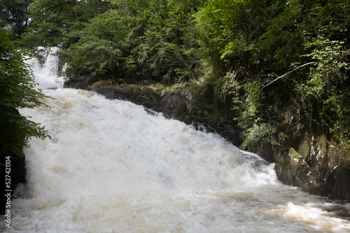 waterfall in the forest