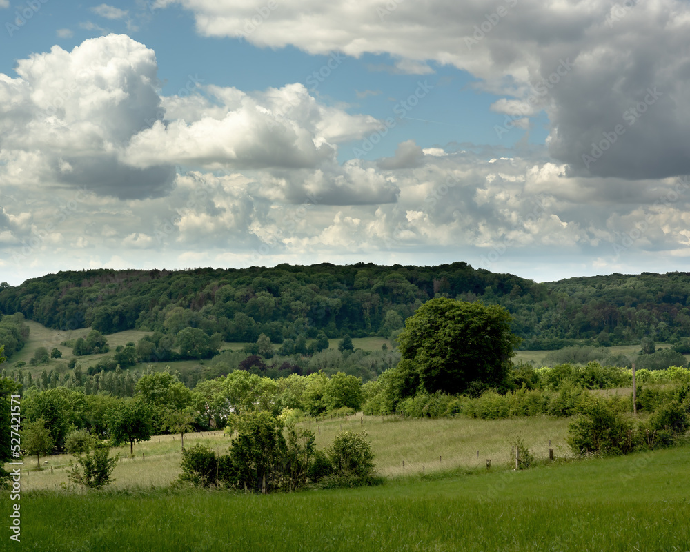Rolling countryside with trees, forest and fields under blue cloudy sky.