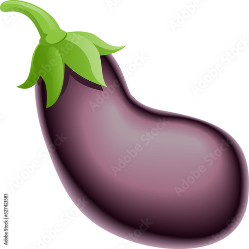 Aubergine eggplant or guine...