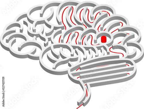 Brain maze concept