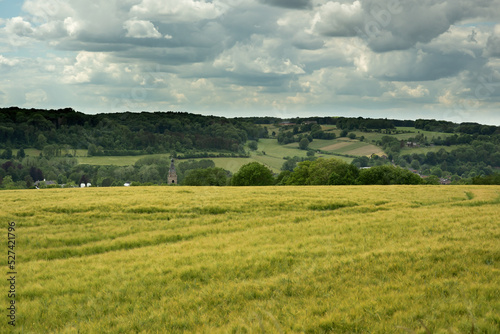 Rolling countryside with a church and some houses under a cloudy sky. © ysbrandcosijn
