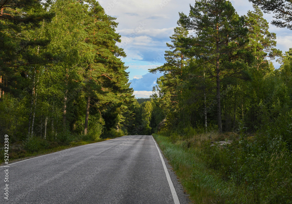 Obraz premium Country road through forest