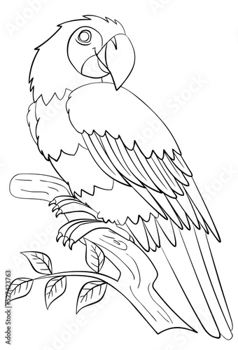 Parrot. Element for coloring page. Cartoon style.