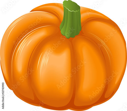 Pumpkin Illustration