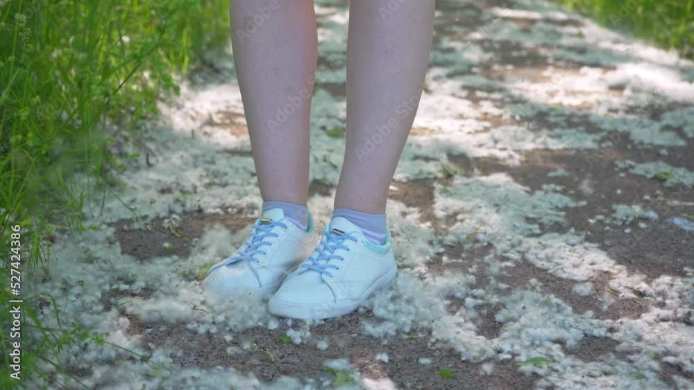 Women's feet in white sneakers trample on poplar fluff Women's feet in white sneakers trample on poplar fluff