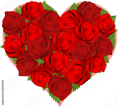 Beautiful red roses in hear...
