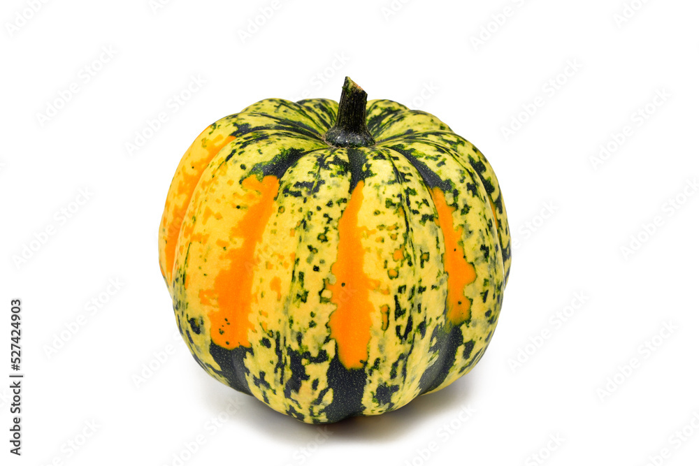 yellow green pumpkin object isolated on white background yellow green pumpkin object isolated on white background