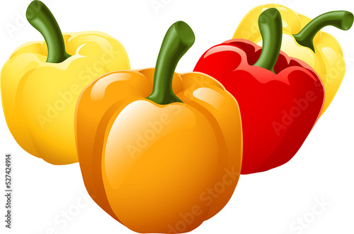 Sweet bell pepper illustration