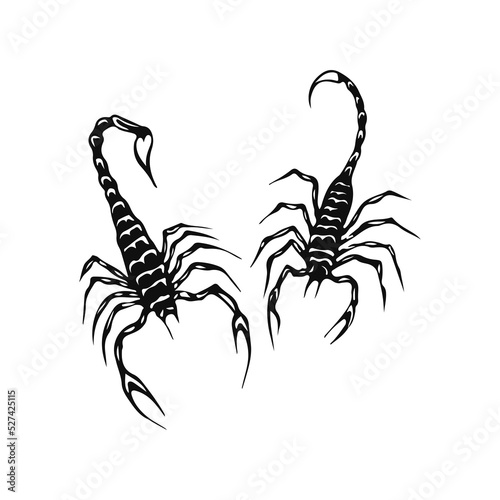 vector illustration of two scorpions concept