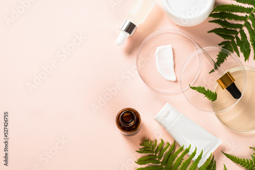 Natural scincare product.. Glass petri dish with different cosmetic products and green plants. Flat lay image with copy space.