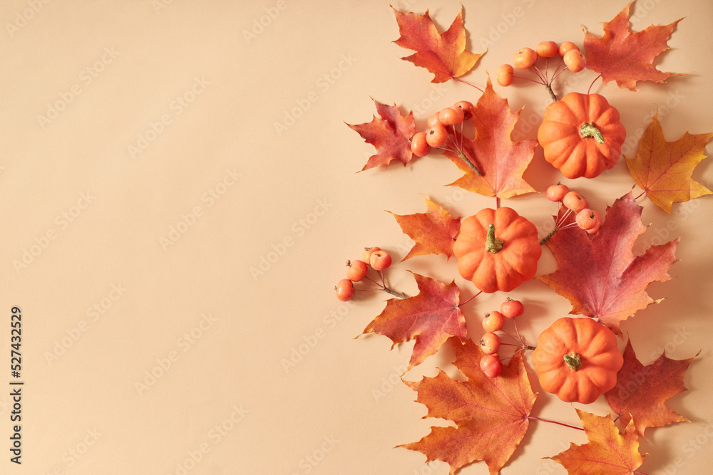Flat lay frame with colorful autumn leaves and pumpkins on an orange background Flat lay frame with colorful autumn leaves and pumpkins on an orange background