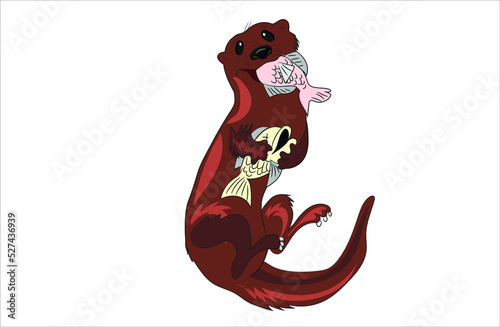 Sea lion  eating fish vector