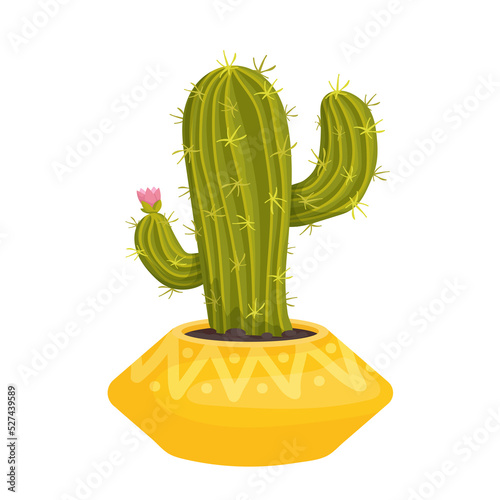 Blooming cactus in a ceramic flowerpot. Cartoon vector graphics.