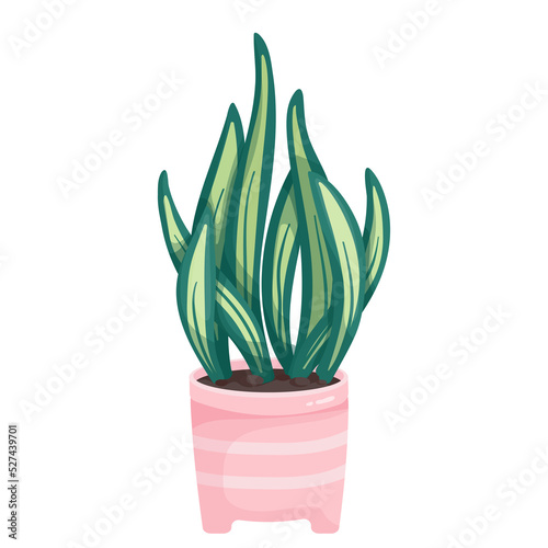 Colorful succulent in a ceramic pot. Cartoon vector graphics.
