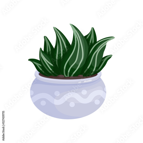 Colorful succulent in a ceramic pot. Cartoon vector graphics.