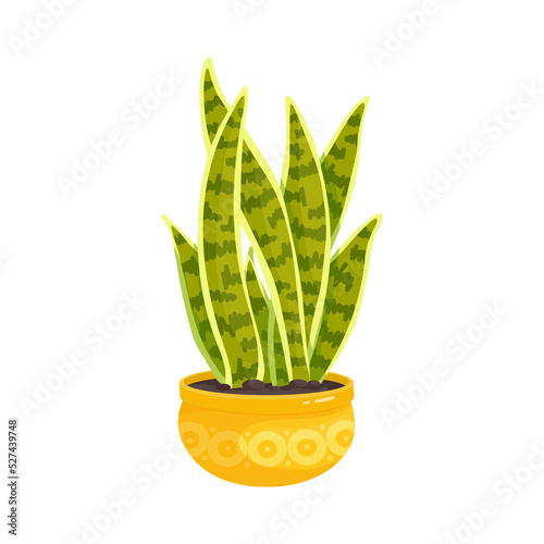 Colorful succulent in a ceramic pot. Cartoon vector graphics.