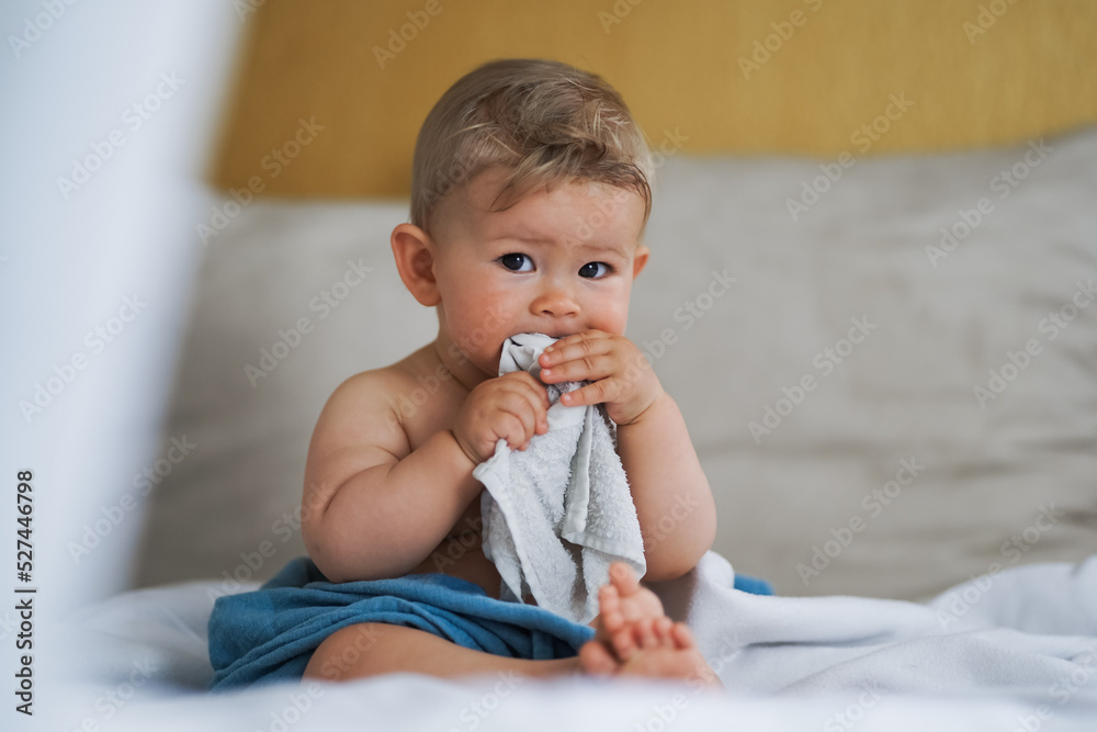 cute naked almost one year old blond baby boy sitting at home on a cozy bed after bathing and playing or biting a white flannel face cloth because of teething and suck water cute naked almost one year old blond baby boy sitting at home on a cozy bed after bathing and playing or biting a white flannel face cloth because of teething and suck water