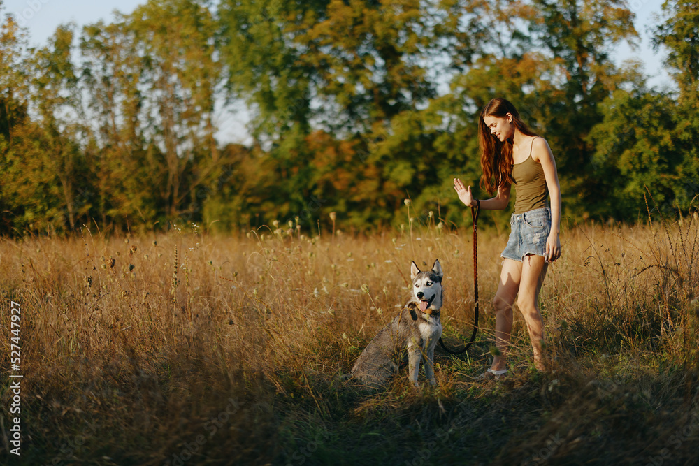 A woman plays and dances with a husky breed dog in nature in autumn on a grass field, training and training a young dog
