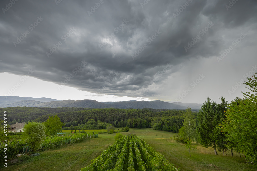 Photo of a wineyard in dolenjska region of slovenia with dense and thick clouds coming over the sky. Rain on the right side visible.