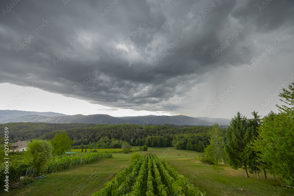 Photo of a wineyard in dolenjska region of slovenia with dense and thick clouds coming over the sky. Rain on the right side visible. Photo of a wineyard in dolenjska region of slovenia with dense and thick clouds coming over the sky. Rain on the right side visible.
