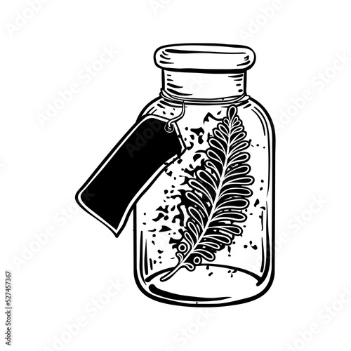 Blackwork tattoo flash. Plant with leaves inside bottle. Highly detailed vect...