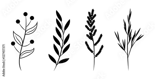 Floral set of hand drawn botanic elements. Vector