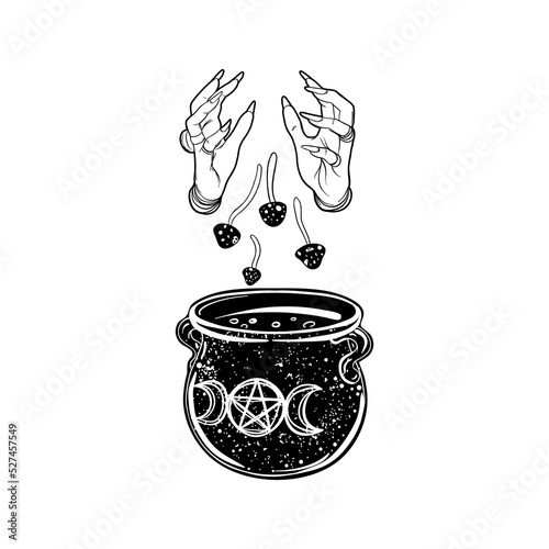 Witch dropping mushrooms to her magic cauldron. Vector isolated illustration ...