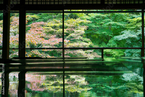 Photography Beautiful fresh greenery and autumn leaves reflected on the table at Rurikoin Te