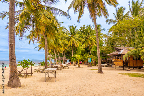 Fototapeta Naklejka Na Ścianę i Meble -  Beautiful beach with lots of coconut trees. This is in Samal Island, Philippines in South East Asia. This is a beach resort where people can swim, relax, rest and be at peace. There is white sand.