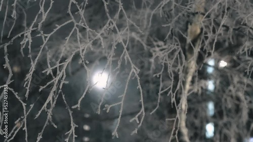 Snow-covered and icy tree branches sway in the wind in the light of city lights on a winter evening. The winter landscape outdoors creates a festive mood.