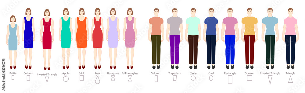 Set of Women Men body shapes types: apple, pear, triangle, rectangle, column, circle, oval, hourglass in clothes. Male and Female Vector illustration 9 head size figure. Vector outline boy and girl
