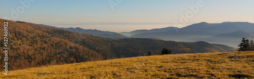 View Of Vosges Moutains From Markstein