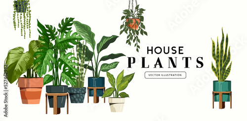 Vector House Plants Collection