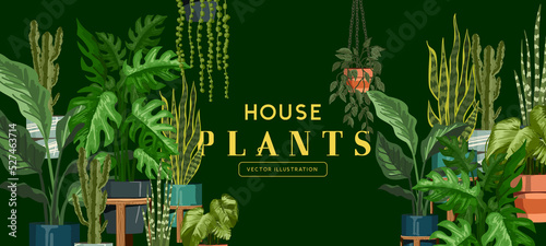 Fresh and green house plants vector collection set.