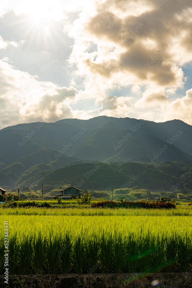 Naklejka premium 光が差し込む山並みと田園風景