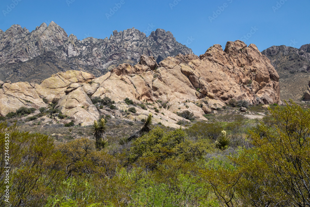 Organ Mountains in New Mexico