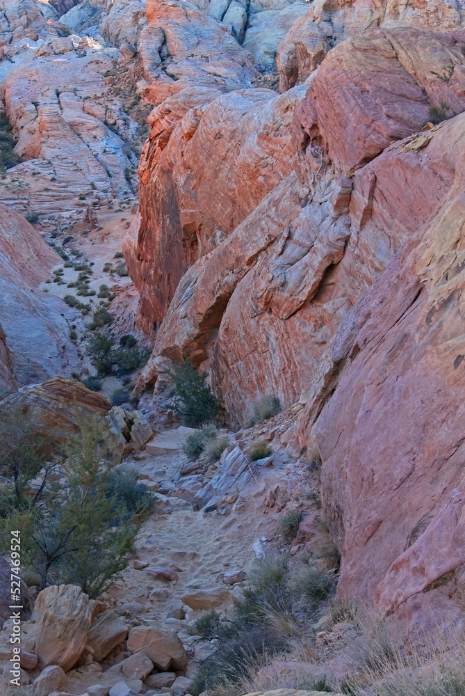 multi-hued canyon wall in Red Rock Canyon National Conservation Area