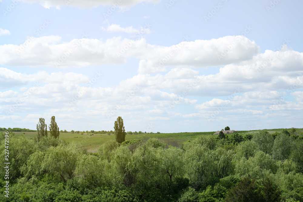 Beautiful landscape with green trees on sunny day
