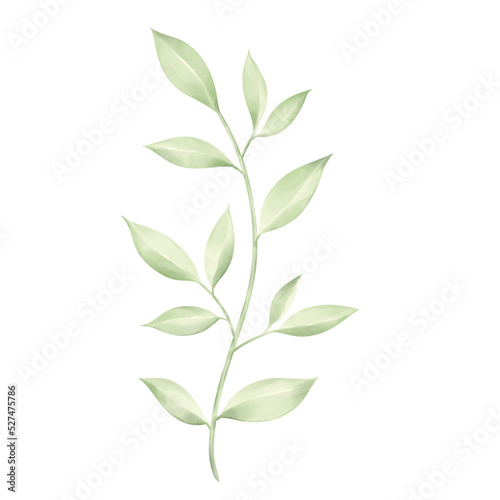 Watercolor green leaves isolated on white background design elements to create your own layouts.